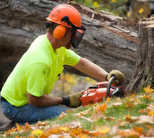 tree services Oceanside